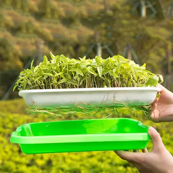 

Double Layer Grow Nursery Tray Plastic Seed Sprouter Tray Hydroponics Seed Germination Plate Vegetable Seedling Pots