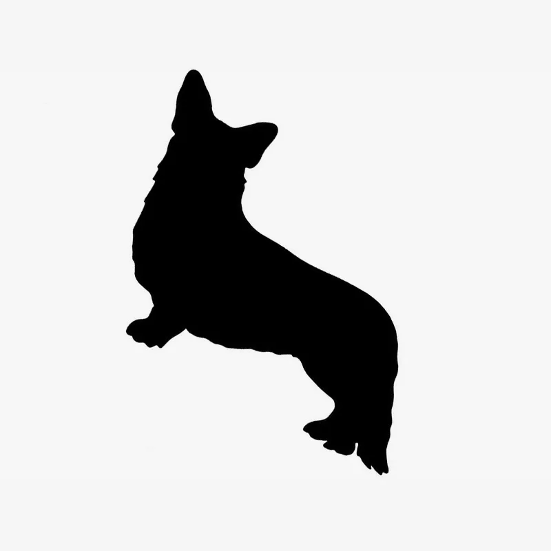 19 5 12 7 Cm Cardogam Welsh Corgi Stiker Mobil Indah Hewan