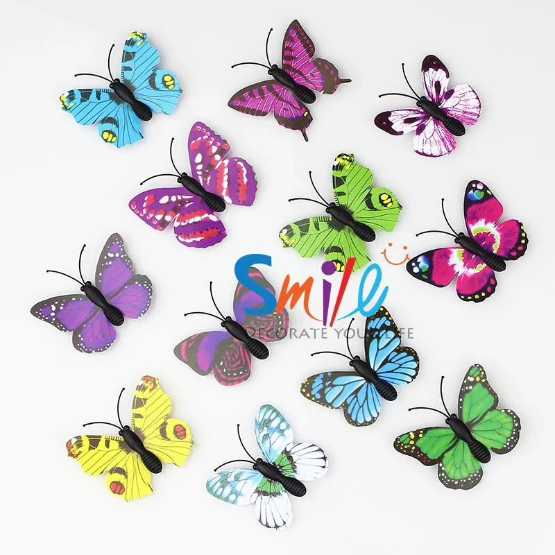 IMG_4294 butterfly 3d-8