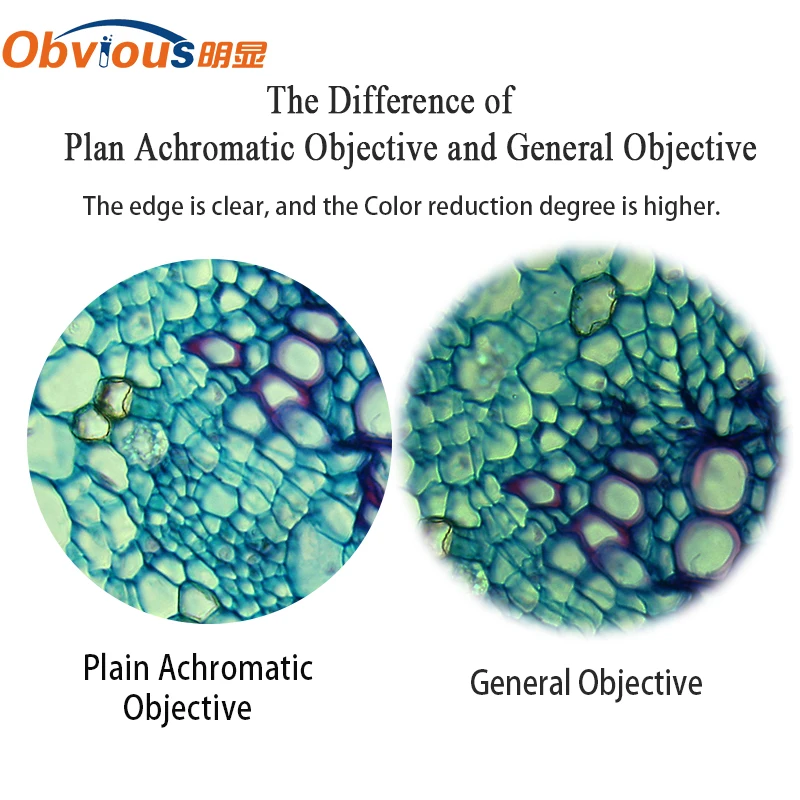 Achromatic plan objective (2)