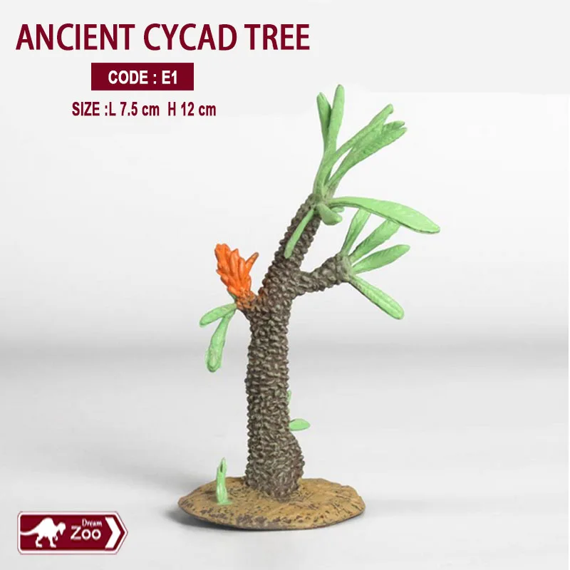 Ancient cycad treee1