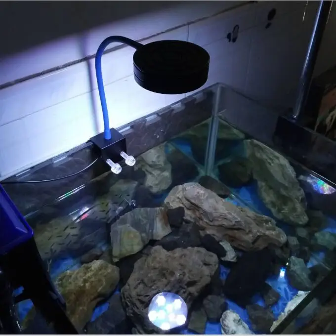 QQ图片20190606002009