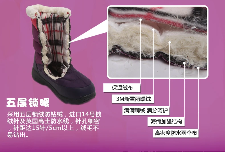 BOT12010-02_08