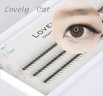 

1box Volume 3D Eyelash Extensions 0.07mm Thickness Hair Mink Strip Eyelashes Individual Lashes Fans Lash Natural Style 8/10/12mm