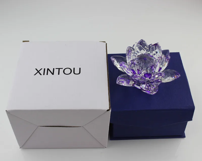 IMG_XINTOU_