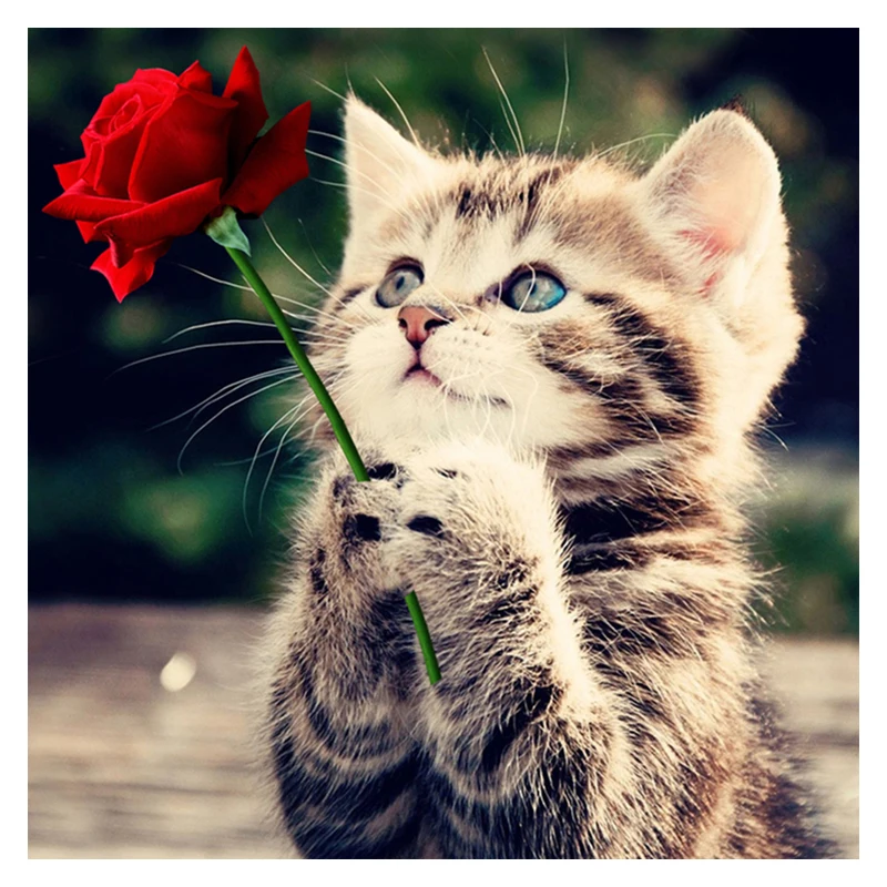 HTB11fzgbhrvK1RjSszeq6yObFXaK