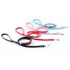 Small Dog Collar Leash Pet Cat Leather Flowers Neck Strap Leads Rope for Middle Perro Chihuahua Kawaii Fashion High Quality 5