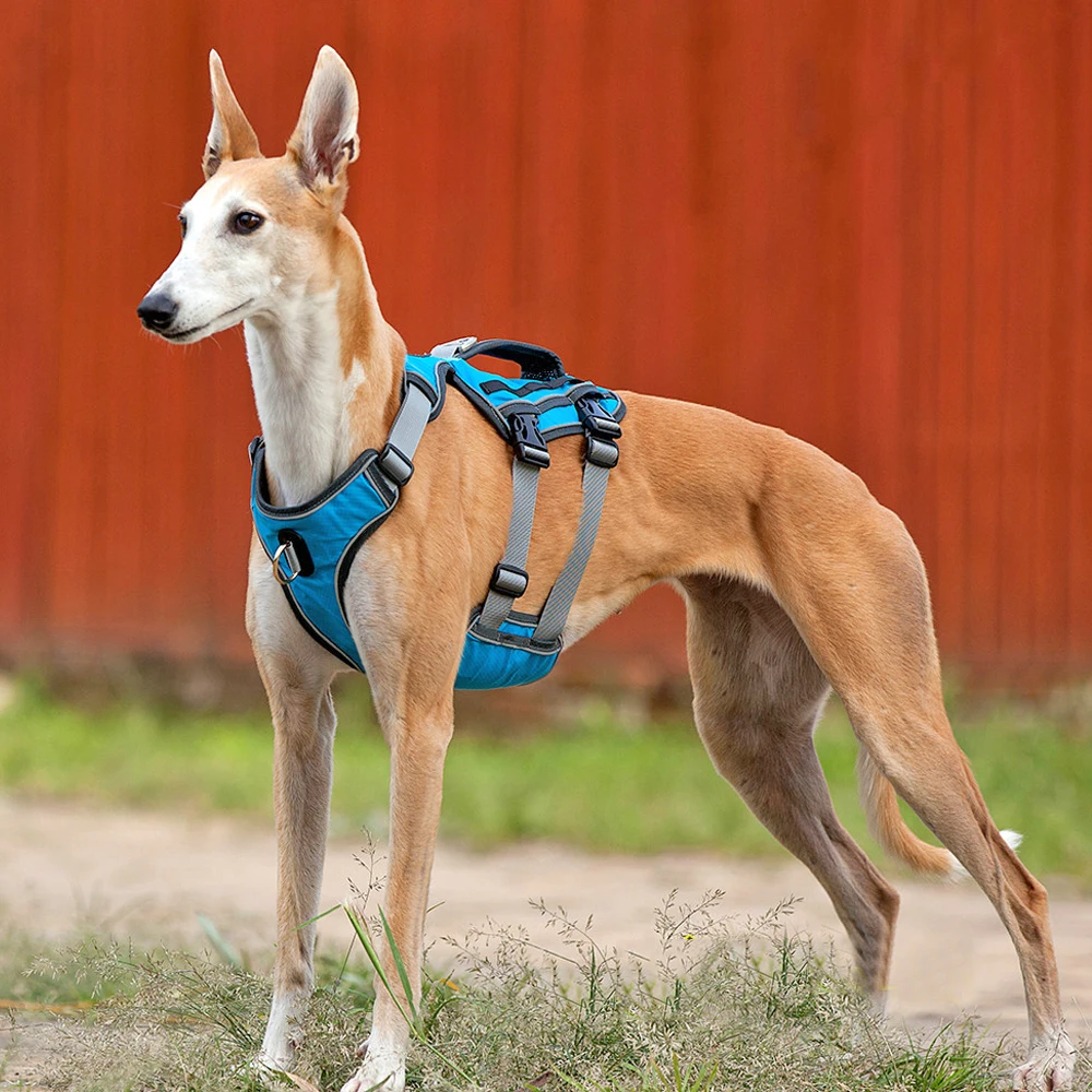 HTB1NccFXfLsK1Rjy0Fbq6xSEXXaO