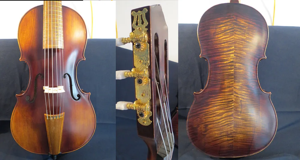6 strings SONG Brand Maestro 1/4 cello,guitar head, powerful sound