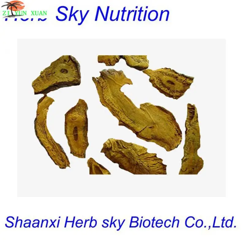

Giant knotweed rhizome extract 98% Resveratrol / Antitussive resveratrol giant knotweed rhizome extract free shipping by EMS