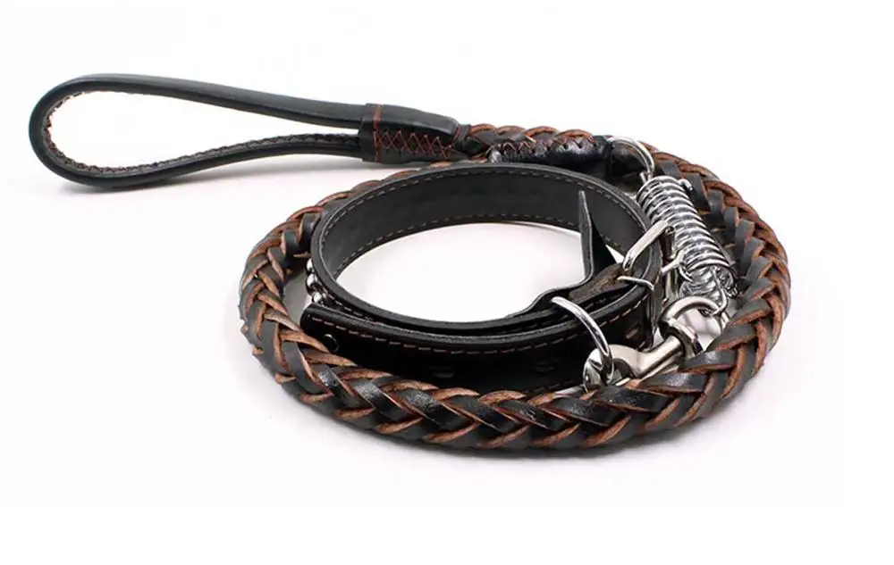 9 Collars, Harnesses & Leads