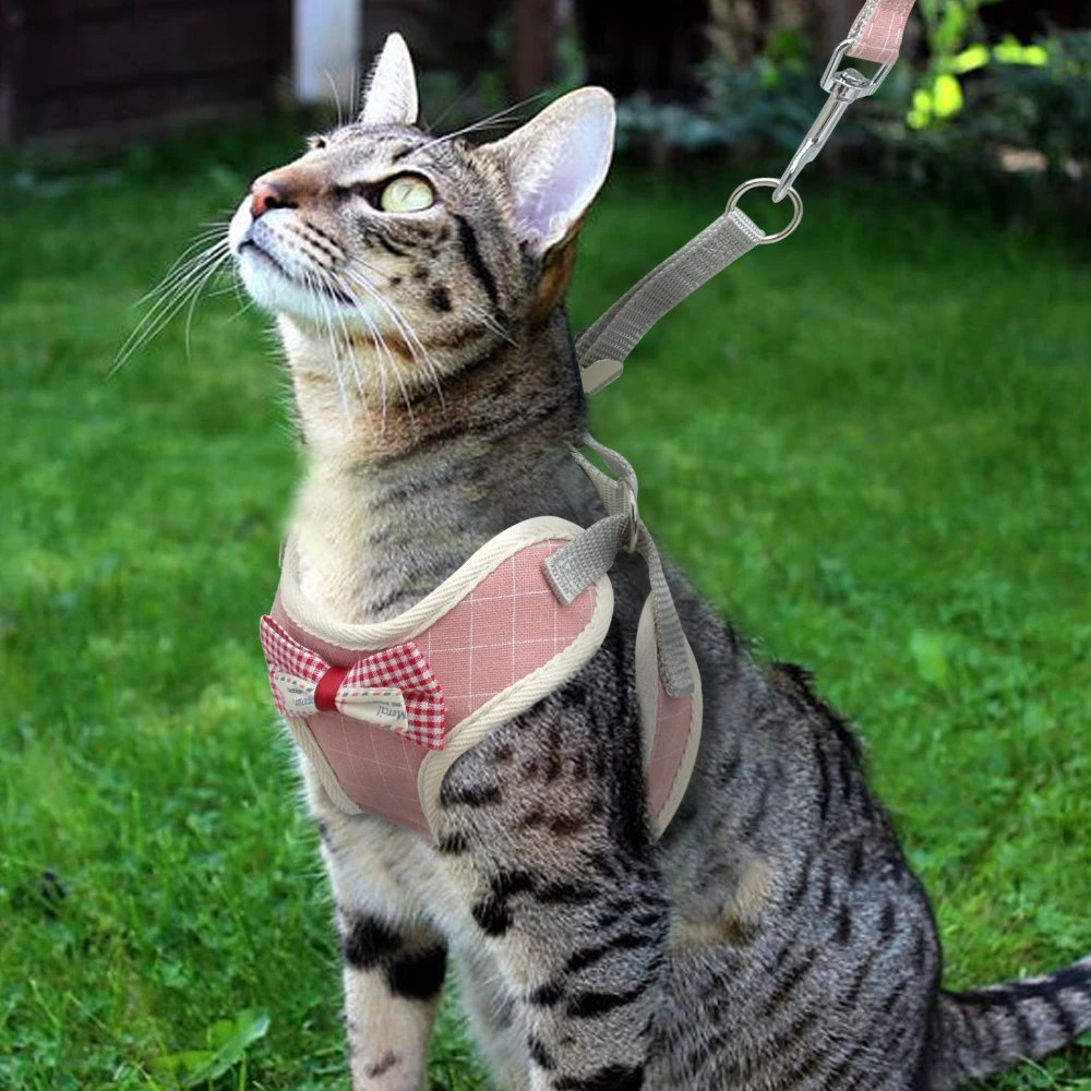 Super pretty bowtie tuxedostyle Sphynx Cat harness with leash