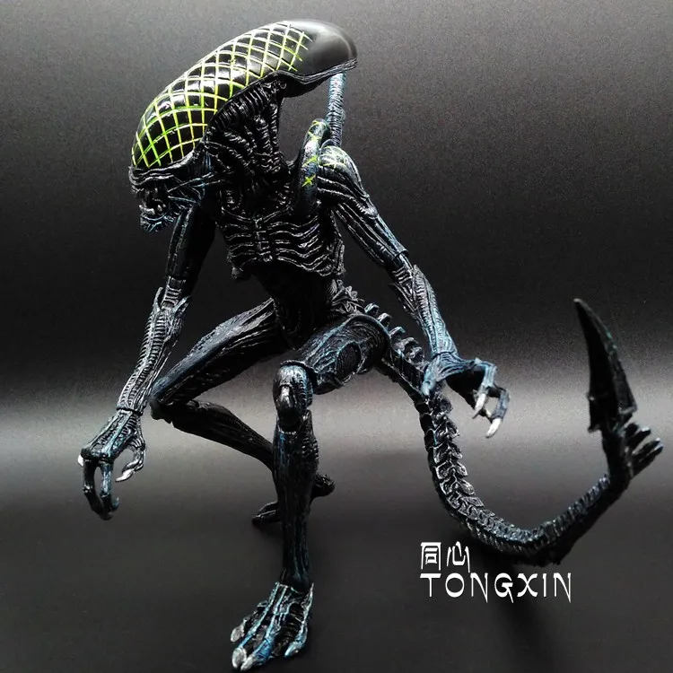 20181128_183229_076