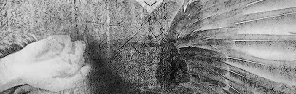 2018-11-09_212120_conew5
