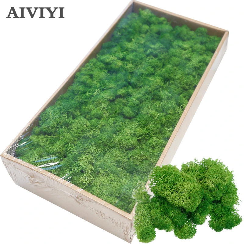 High Quality Artificial Green Plant Immortal Fake Flower Moss Grass