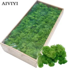 Planta verde artificial para decoración del hogar, accesorios de flores DIY con flor falsa inmortal, musgo y hierba, de tamaño mini para la sala de estar, de alta calidad