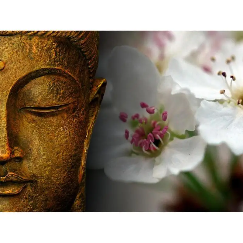 Full-Drill-Square-Diamond-5D-DIY-Diamond-Painting-Buddha-and-flowers-Diamond-Embroidery-Cross-Stitch-Rhinestone_900x
