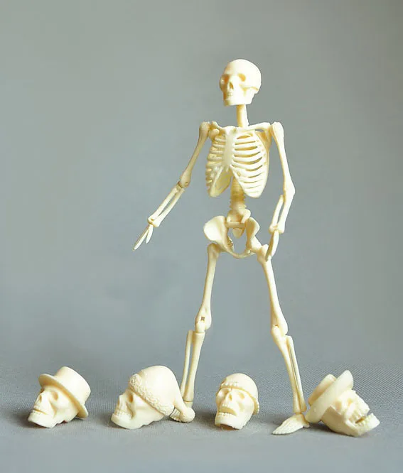 20cm Nice Body Assembly Model Educational Toys Human body model Medical Science 20cm Nice Body Assembly Model Educational Toys Human body model Medical Science
