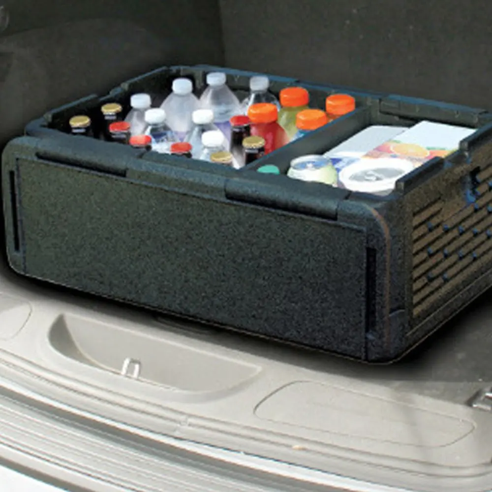 35Л портативный размер автомобильный холодильник авто Интерьер холодильник напиток еда охладитель грелка коробка для автомобиля Открытый Кемпинг Пикник