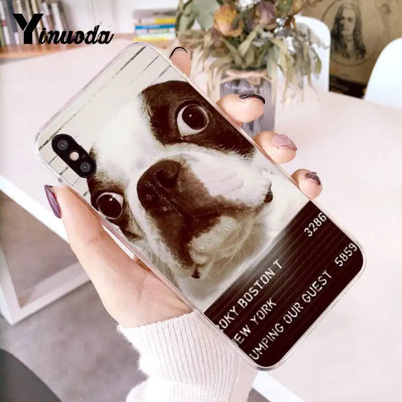 Прозрачный чехол для телефона Yinuoda Animal boston terrier dog iPhone 8 7 6 6S Plus X 5 5S SE XR XS XSMAX11 11pro