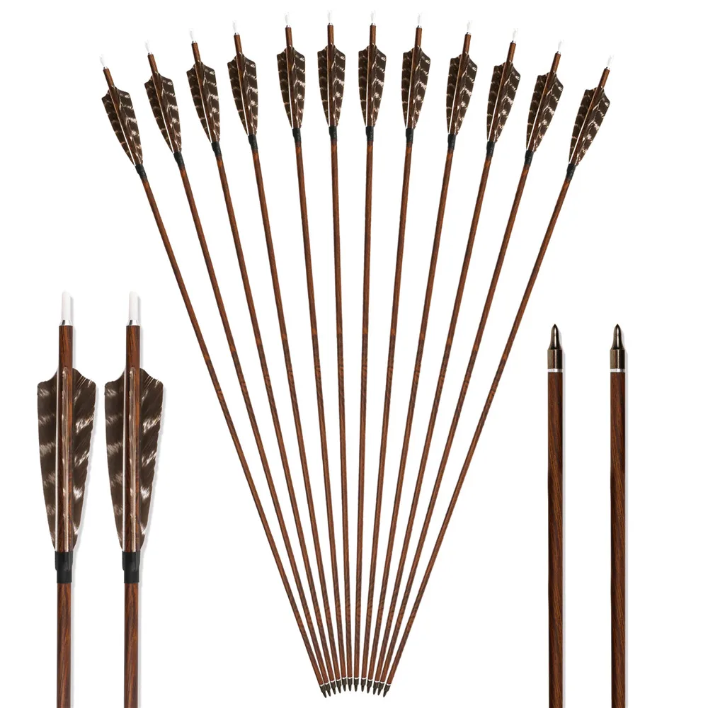 archery arrows (8)