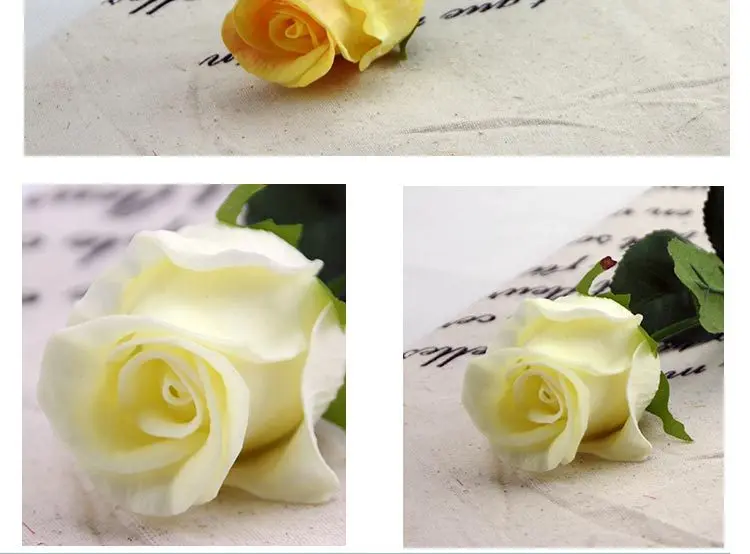 MW01504 (11)