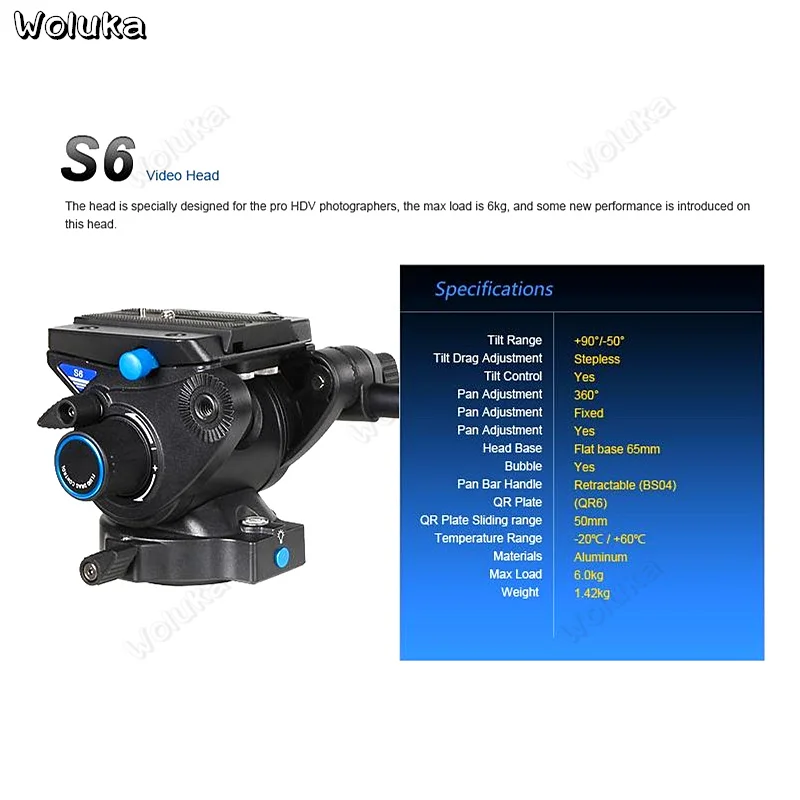 36020190219132238264