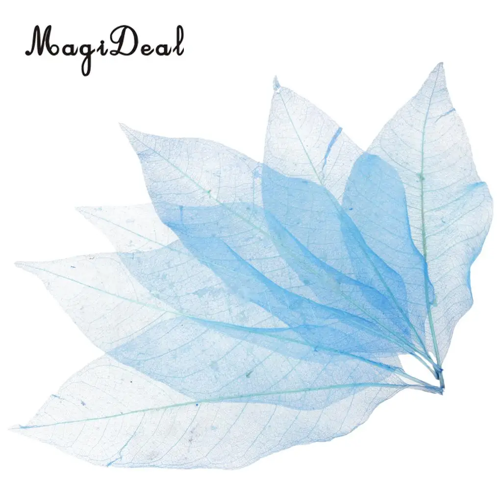 100Pcs Magnolia Skeleton Leaf Scrapbook Decoration Leaves Blue and Brown Decorative DIY Craft Leafs Artwork Embellishment