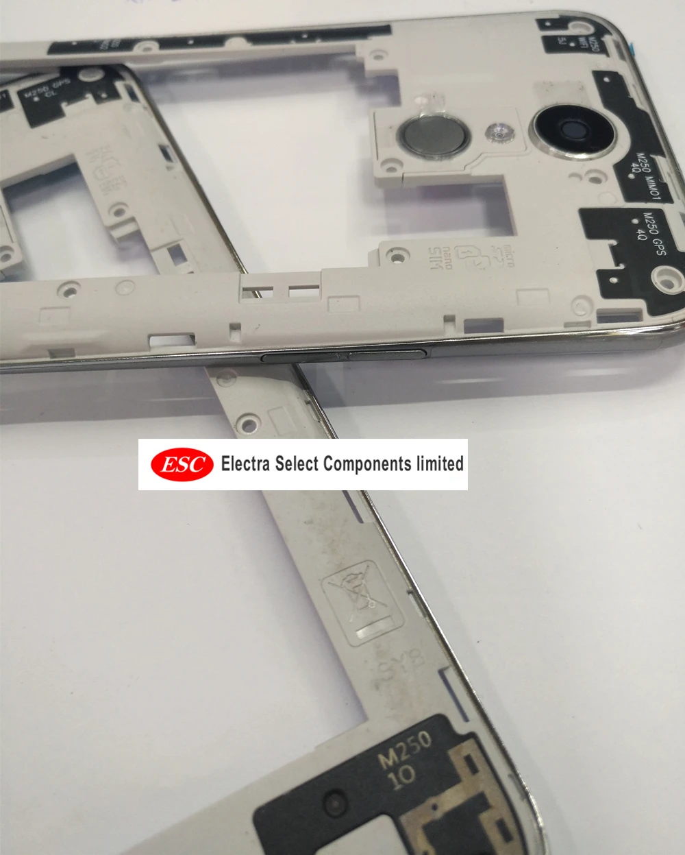 K10 2017 back frame1_