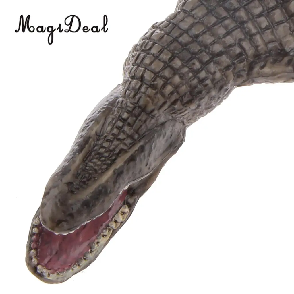 MagiDeal 1Pc Realistic Reptile Crocodile Zoo Model Action Figure Decorative Collectibles for Home Room Office Decor Kids Boy Toy