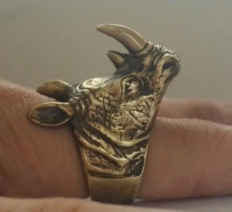 

Rhinoceros body guard ring to protect themselves from harm. It has a deterrent effect