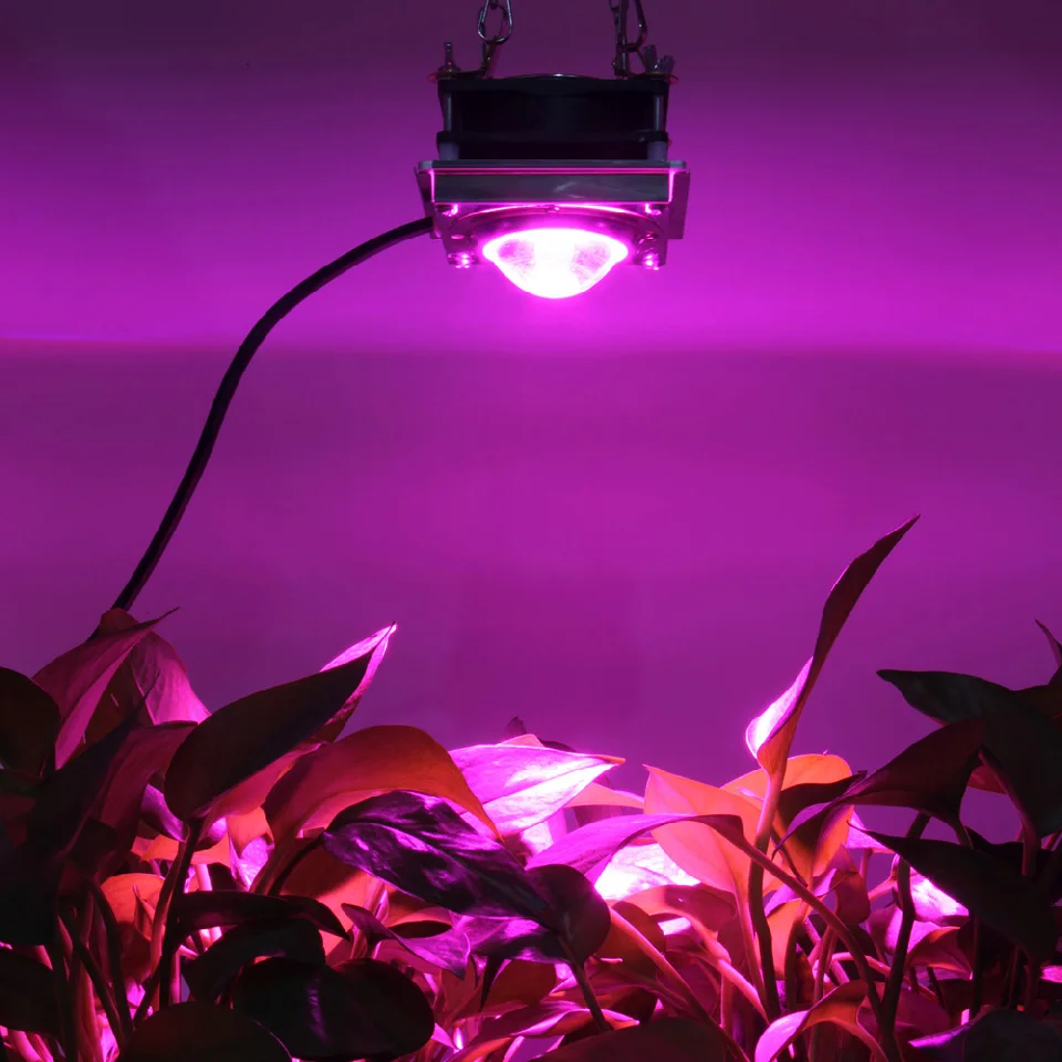 High Par Cob Led Grow Light Full Spectrum 150w Led Plant Grow Lamp