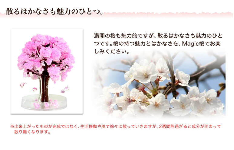 Novelty and Gag Toys novelty and gag gifts