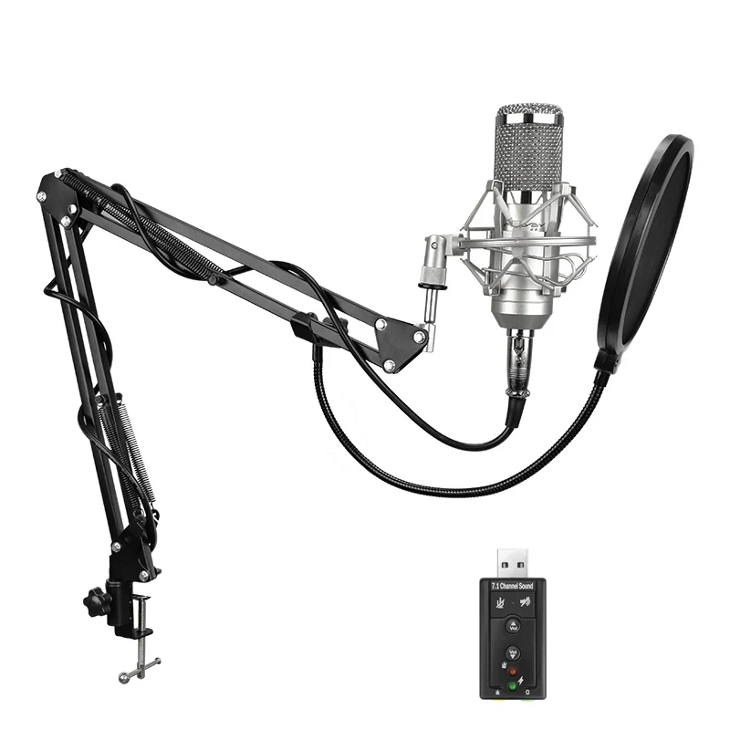 Felyby Профессиональный BM 800 конденсаторный микрофон для компьютера аудио студия вокальный Запись MIC KTV Караоке+ микрофон Подставка - Цвет: Silver Filter USB