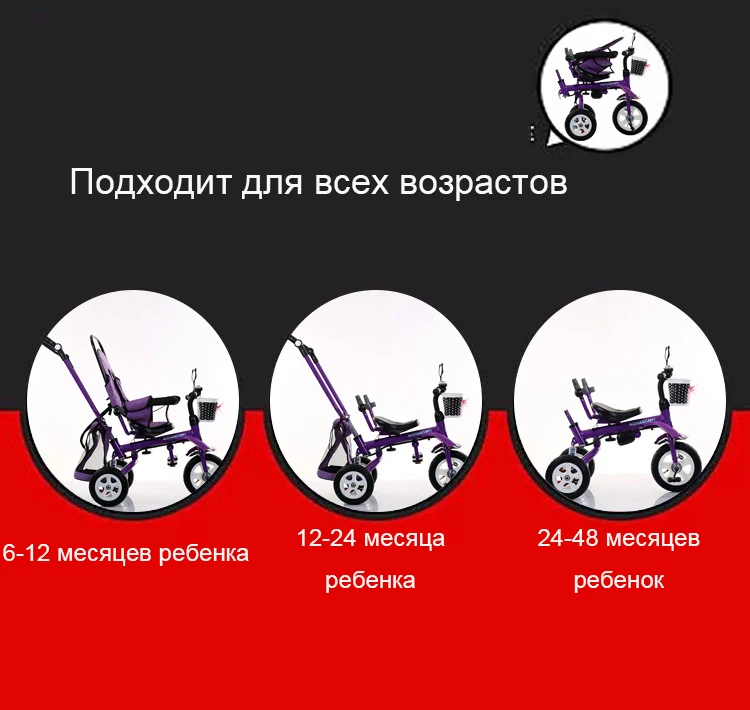 3786600117_752926519
