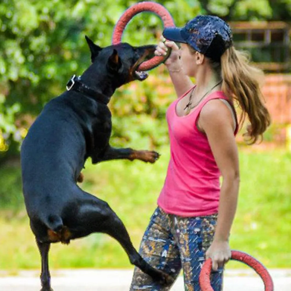 الكلب إيفا تحلق أقراص الحيوانات الأليفة التدريب حلقة التفاعلية التدريب دمية على شكل كلب المحمولة في الهواء الطلق كبيرة دمية على شكل كلب s الح... الكلب إيفا تحلق أقراص الحيوانات الأليفة التدريب حلقة التفاعلية التدريب دمية على شكل كلب المحمولة في الهواء الطلق كبيرة دمية على شكل كلب s الح...