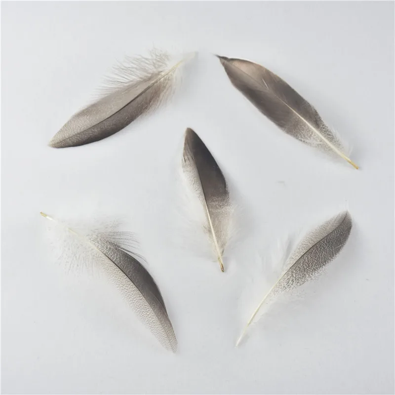 Flying Feathers Natural Pheasant Feathers 4 Style 15-20cm 12pcs Natural Feathers for DIY Craft Home Party Decorations FF03 