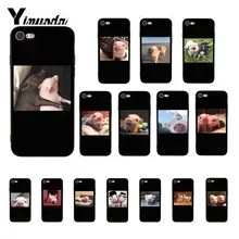 Yinuoda смешной мультфильм свинья Coque Оболочка Чехол для телефона для iPhone 8 7 6 6S 6Plus X XS MAX 5 5S SE XR 10 чехол s