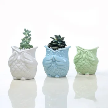 

DIY Ceramic Glazed Owl Flower Pot Free Combination White Blue Flowerpot Planter Green Succulents Plant Desktop Garden Pots