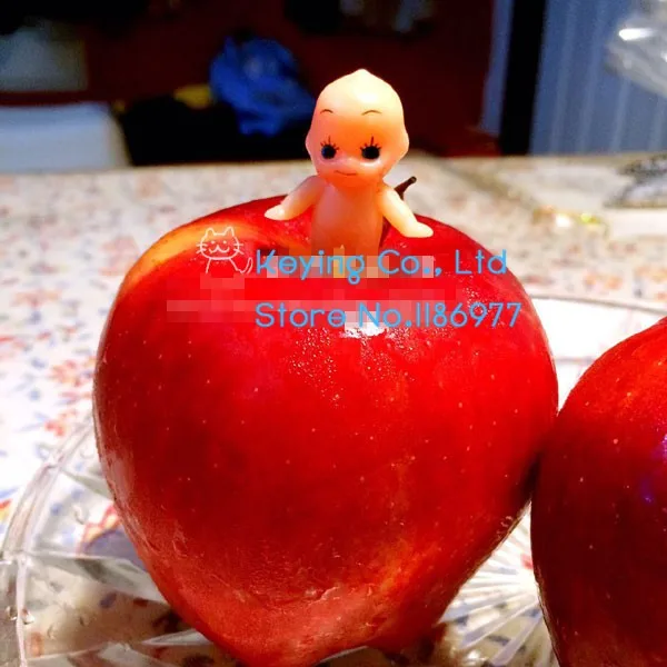 TB2_y__XxmJ.eBjy0FhXXbBdFXa_!!20450127