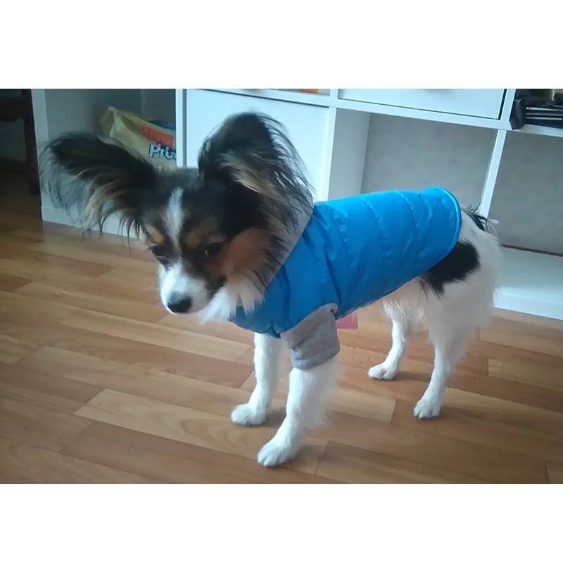 Зимние теплые куртки для собак, утолщенная одежда для щенков с капюшоном, одежда для маленьких собак, одежда 5 цветов, размер XS-XXL