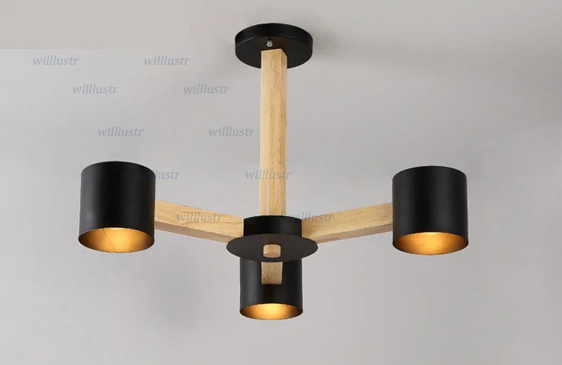 ceiling light (2)