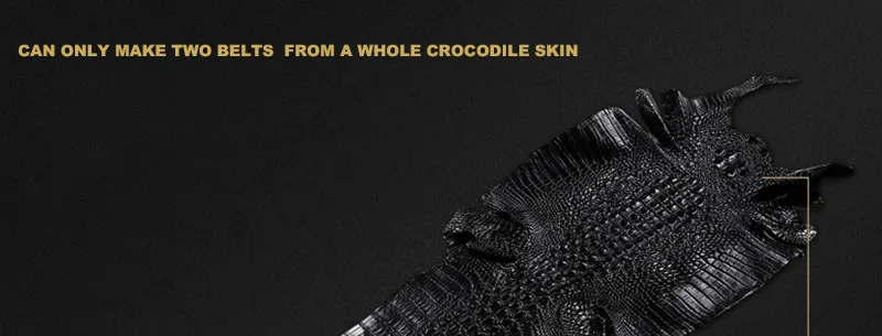 FAJARINA Высокое качество крокодиловой кожи ремни изысканный нержавеющая сталь письмо гладкой пряжкой бизнес ремень для мужчин 33 мм широкий EYFJ01M