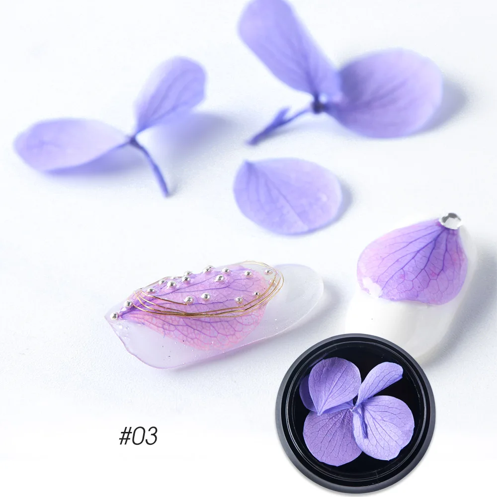 dried flowers C03