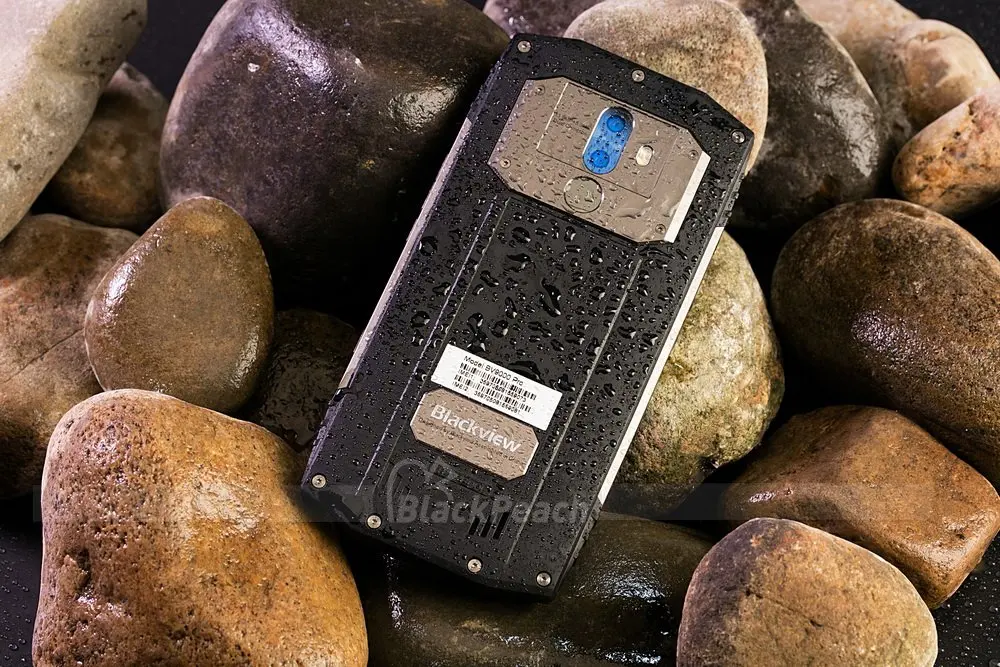 MARK0181_conew1