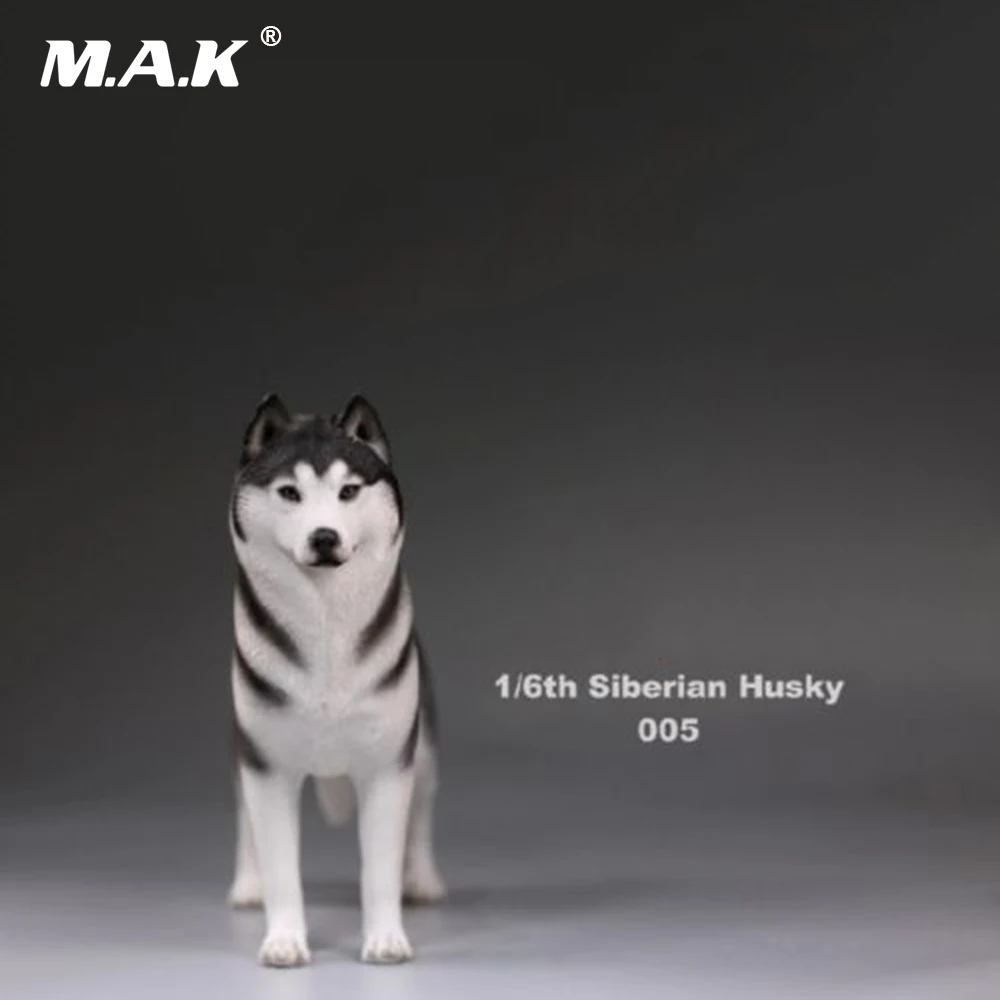 1:6 весы собака модель фигурку аксессуар Сибирского Хаски моделирование Животные