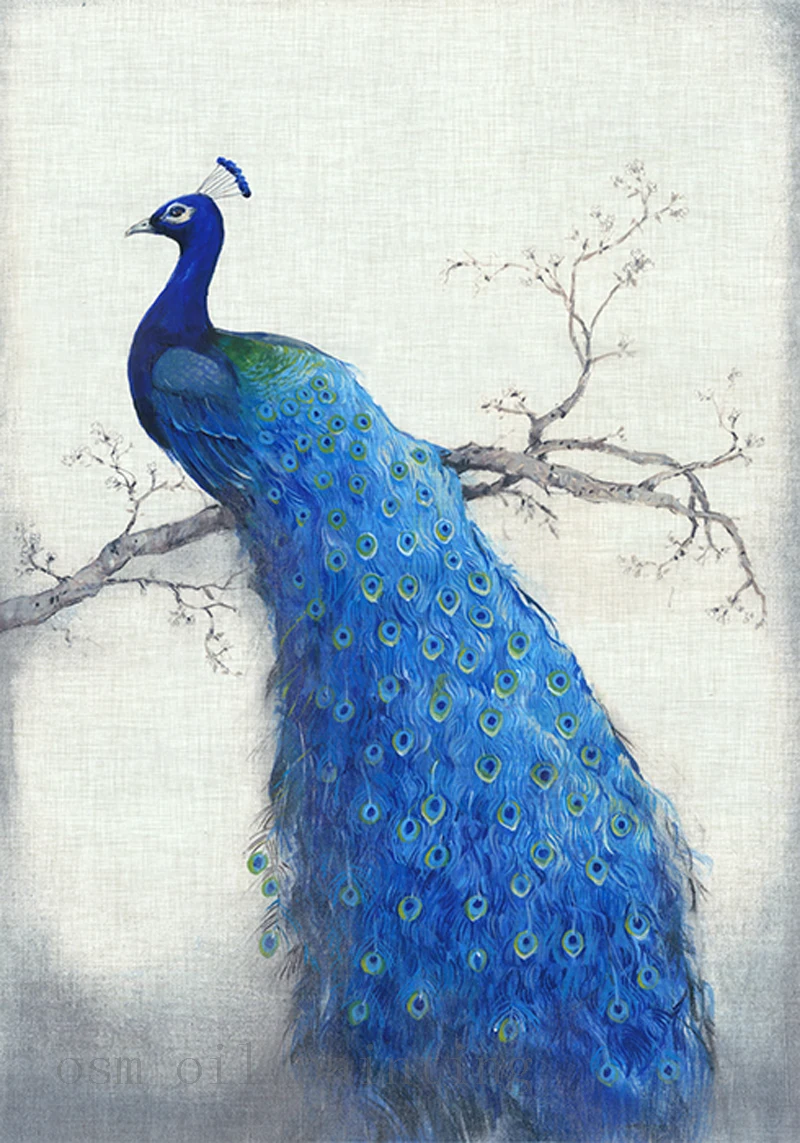 

Spray Painting High Quality Printed Peacock in the Tree Have a Rest Canvas Printing Modern Oil Picture by Print Home Wall Art