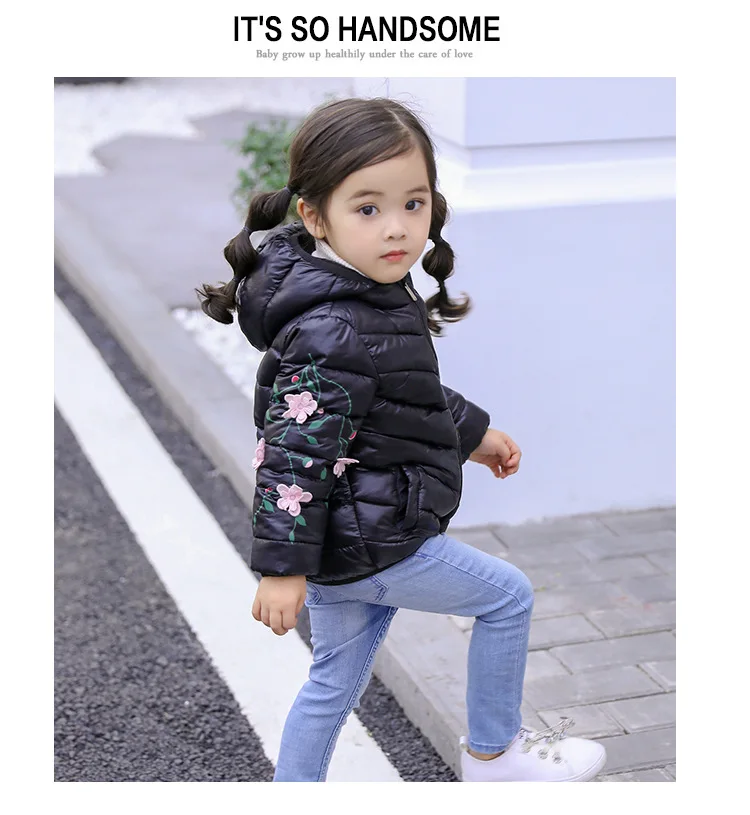 9126631726_524950980