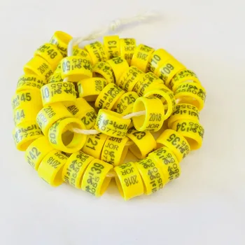 

Plastic poultry bands bird ring free design farm name (5.5/6.5/7/8/9/10/11/12/13/16mm)