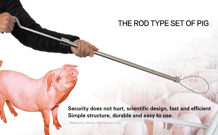 HTB1inZtOVXXXXa_aFXXq6xXFXXXv (1)